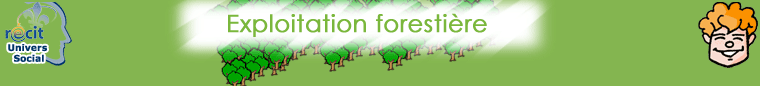 Exploitation forestière
